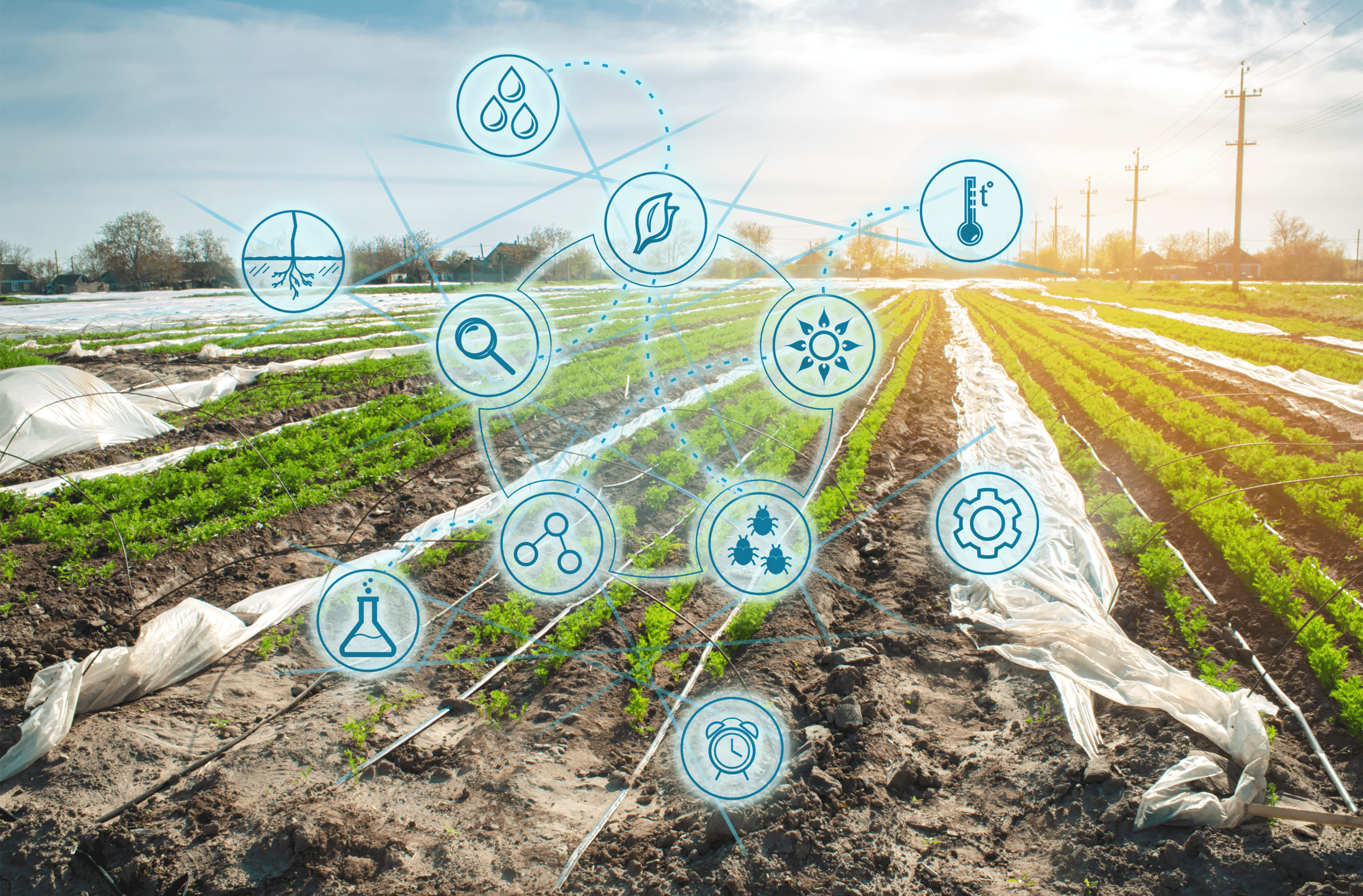 Smart Agriculture